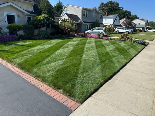 Customer photo review of GCI Turf 25-5-5 G
