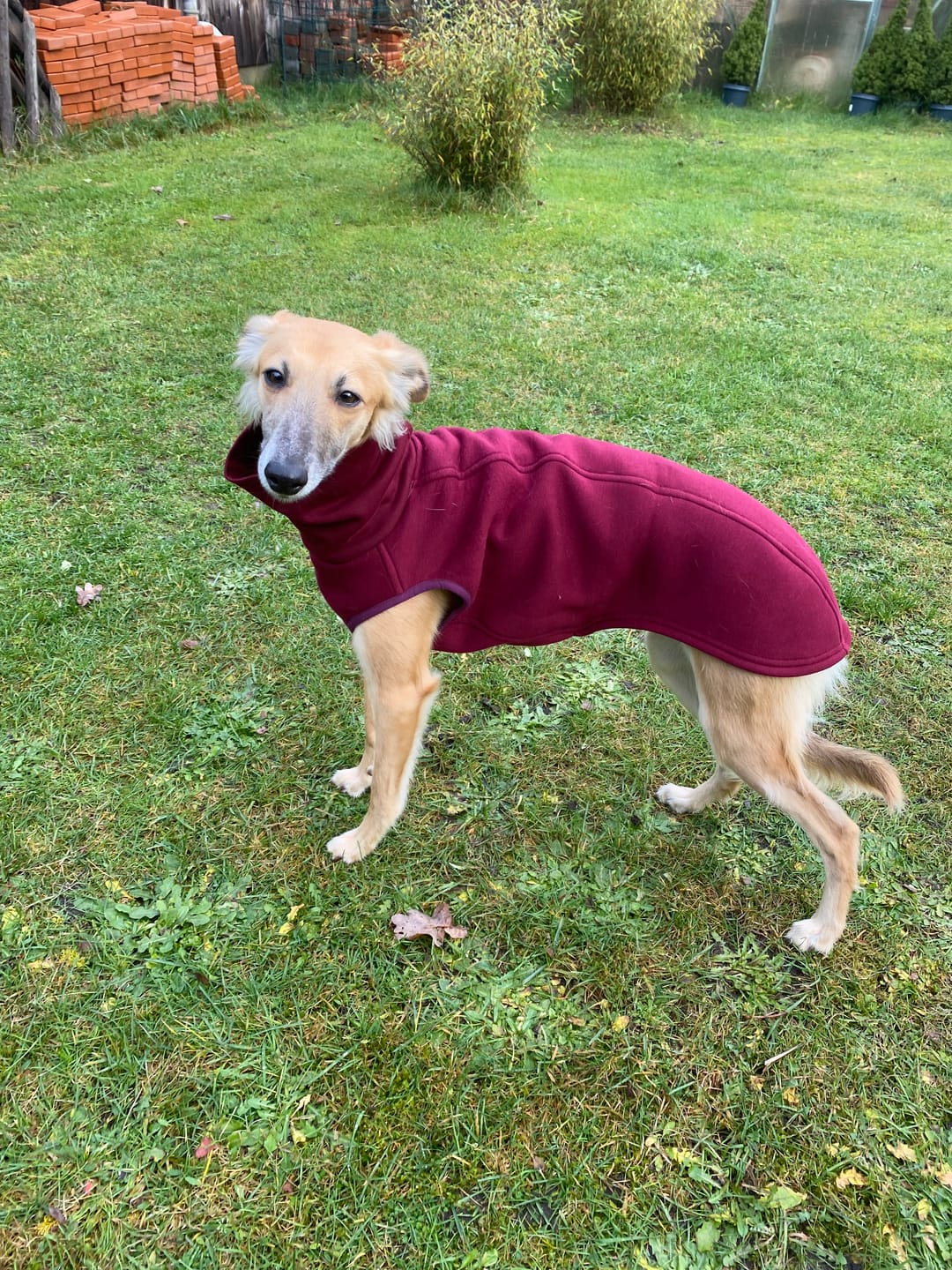 Customer photo review of Winnipeg "Bordeaux"