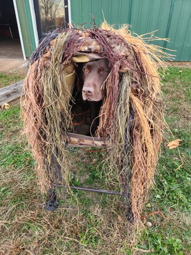Customer photo review of Hunting Blind Raffia Grass (Pack)