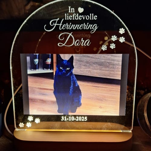 Customer photo review of In liefdevolle herinnering hond/kat ledlamp