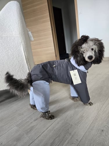Customer photo review of Autumn Lightweight Thermal Cotton Jacket