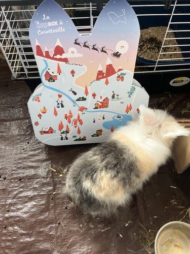Customer photo review of Calendrier de l’Avent (prévente) – La Hopbox à CarotteVille