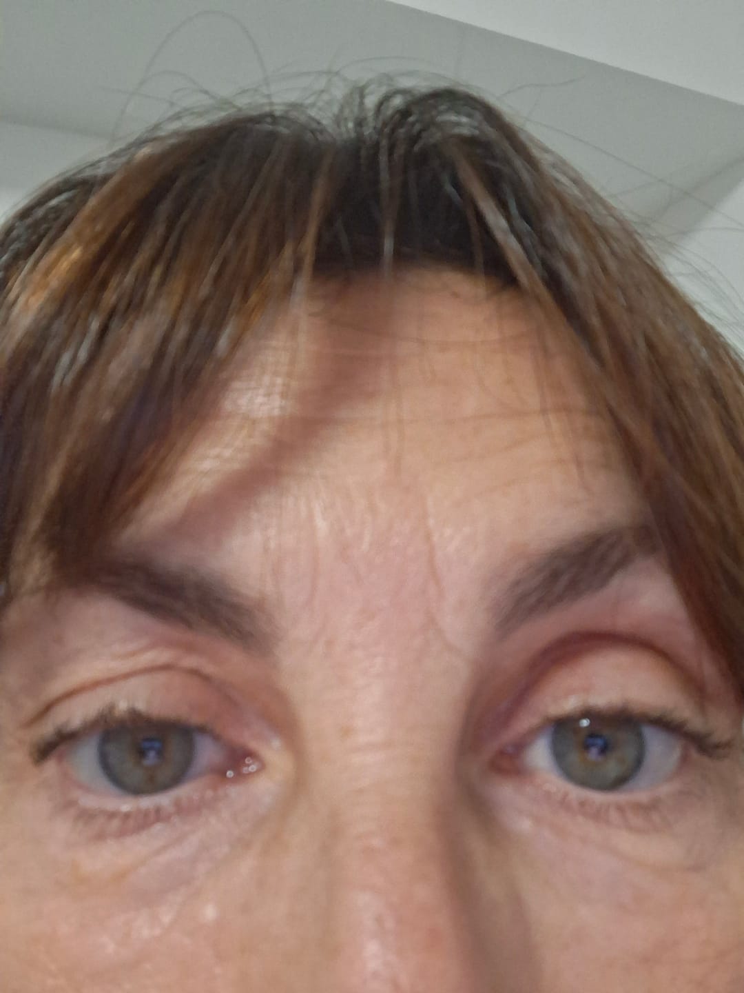 Customer photo review of Siero Allungaciglia
