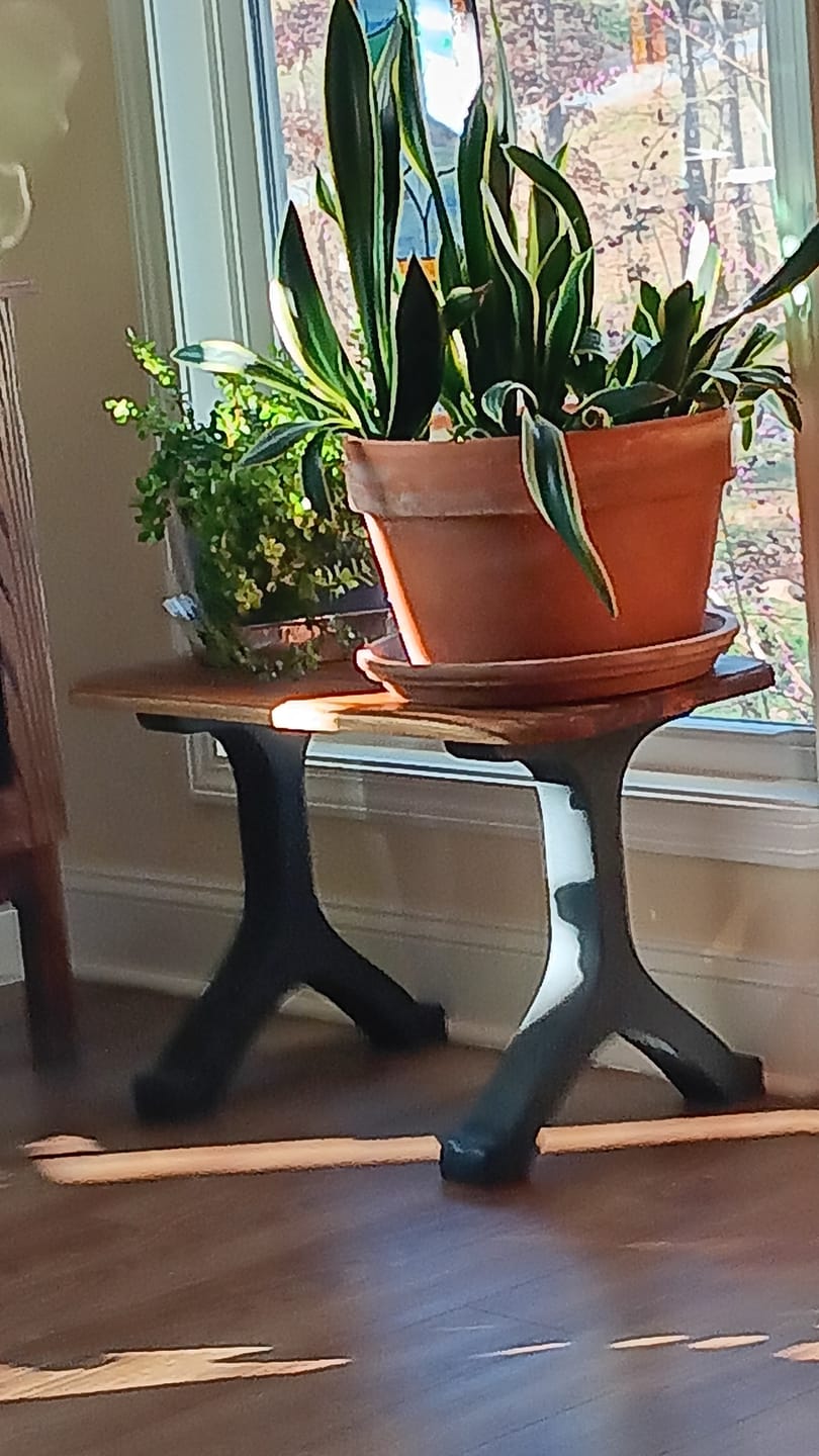Customer photo review of Bench Legs 101 Wishbone 16.3" H Mid-Century Modern Style