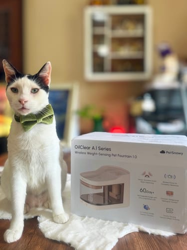Customer photo review of Wireless Weight-Sensing Pet Fountain
