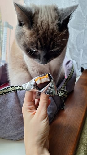 Customer photo review of Energy Mango