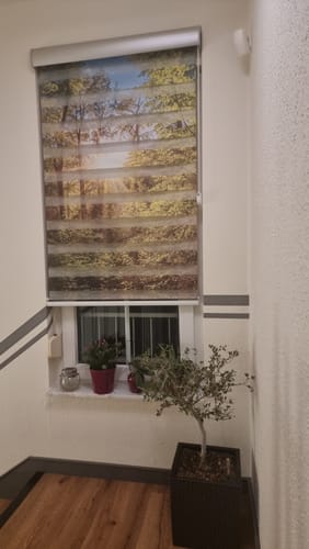 Customer photo review of Foto Doppelrollo "Landschaft im Herbst"