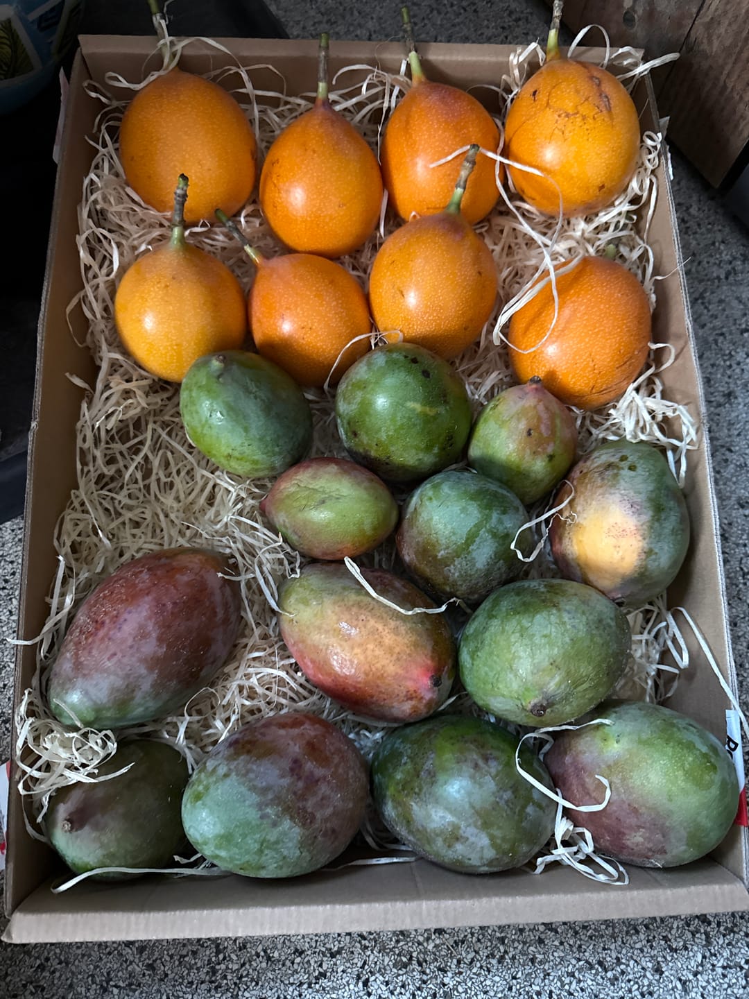 Customer photo review of Mini-Mango Keitt Bio Sonderpreis %