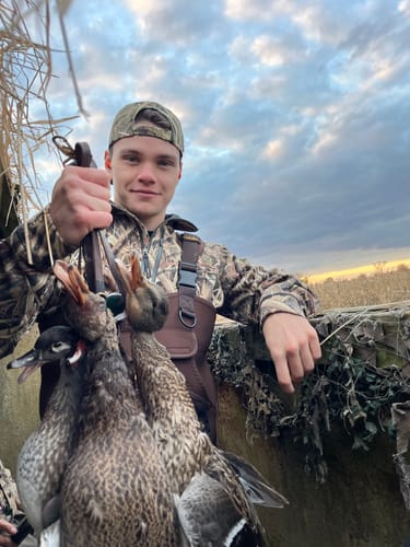 Customer photo review of OMEN Duck Call