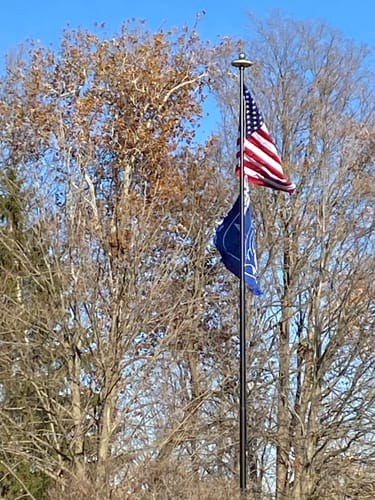 Customer photo review of You Are My Hero Stick Flags, Bundle of 5