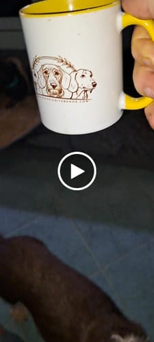 Customer video review of Instagram Story Erwähnung