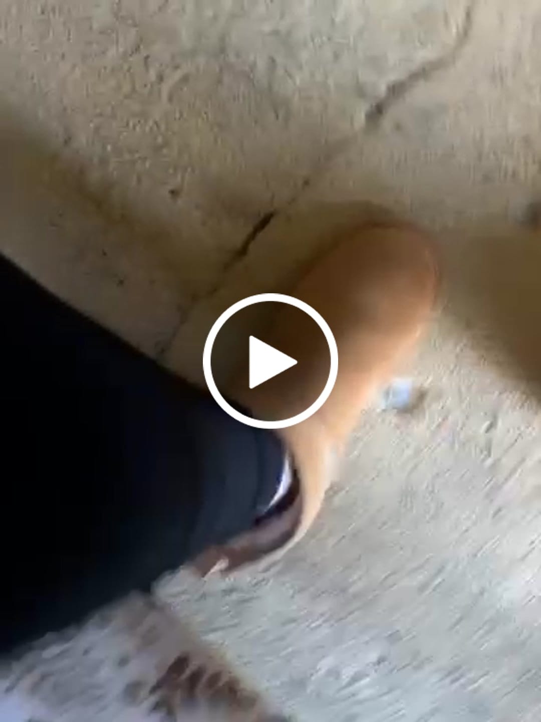 Customer video review of SHORTY GRAPHITE