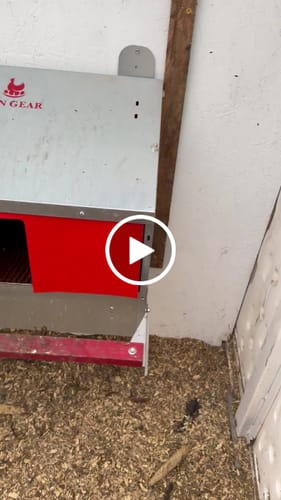 Customer video review of Small (24") Reversible Rollout Nest Box (Up to 20 Hens)