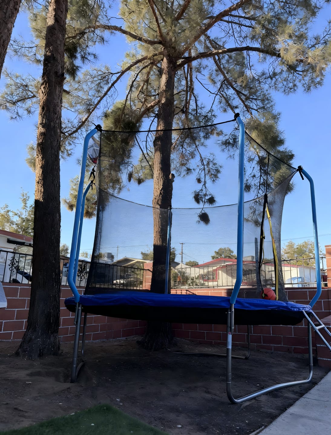 Customer photo review of 14FT Blue Recreational Trampolines for Kids With Ladder&Hoop