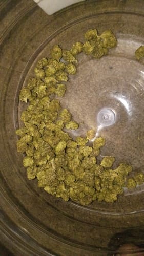 Customer photo review of Cheesecake- Bulk - Indica