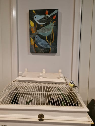 Customer photo review of THREE LITTLE BIRDS CANVAS