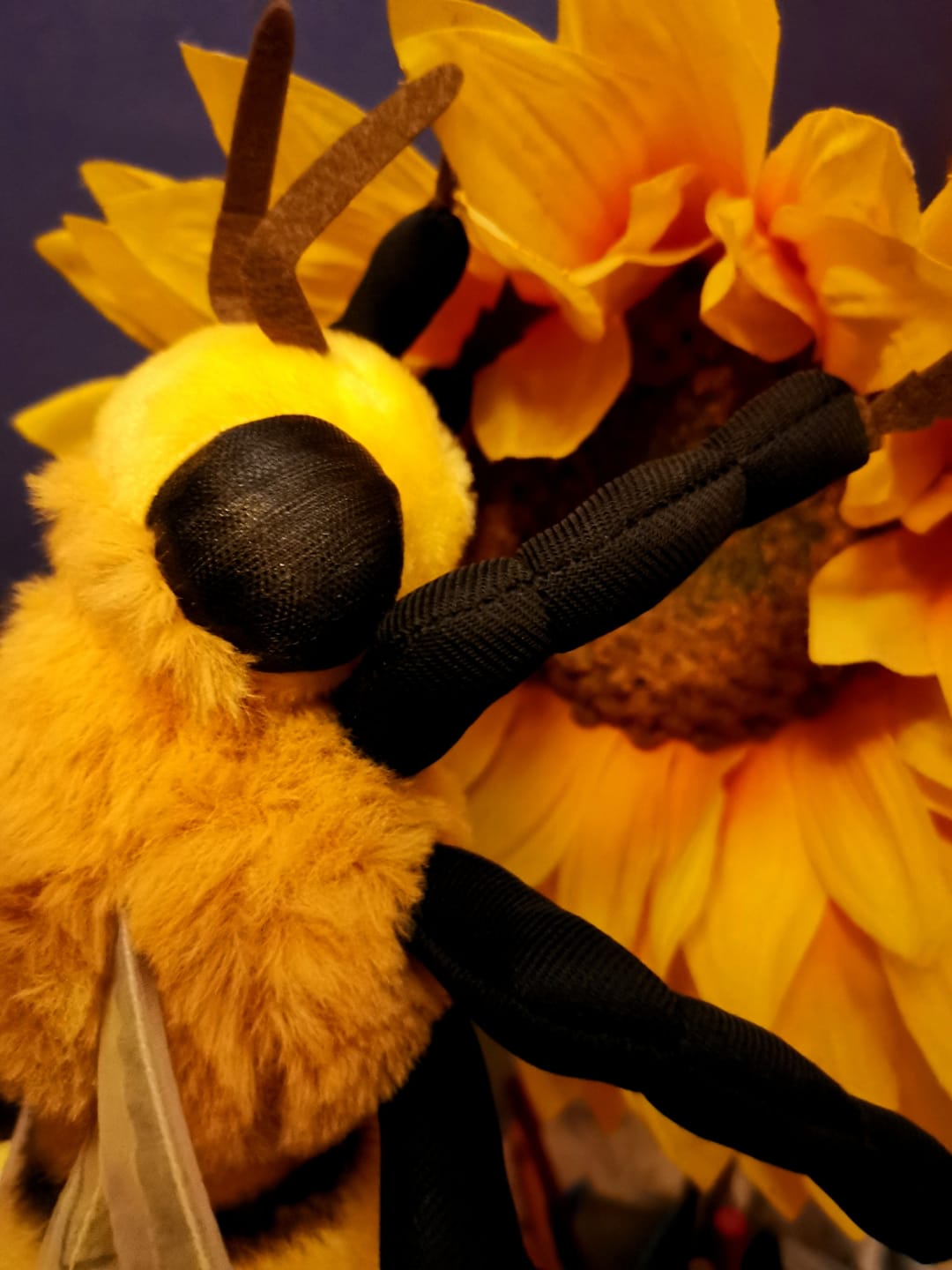 Customer photo review of Bee Soft Stuffed Plush Toy