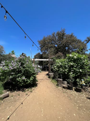 Customer photo review of High Quality Halo Hair Extensions