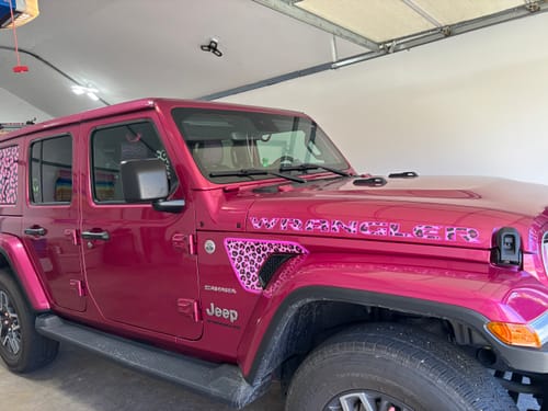 Customer photo review of Pink Cheetah Print Fender inserts (Set of 2)