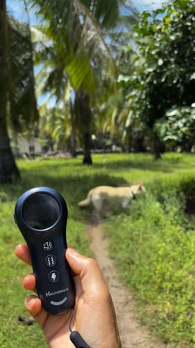 Customer photo review of Houndware 2-in-1 Pro Anti-Bark & Remote Training Collar - Upgrade