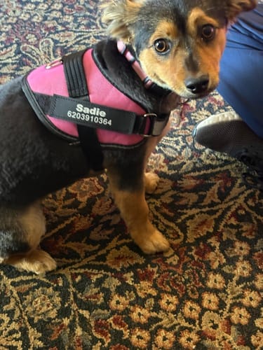 Customer photo review of Black Friday Walking Set