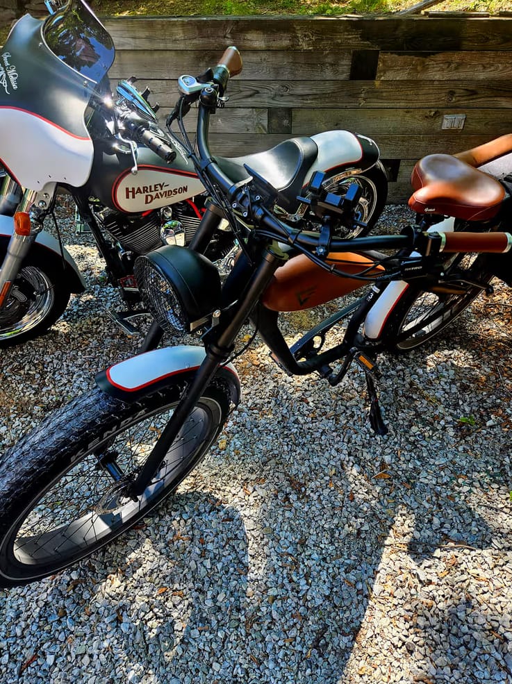 Customer photo review of Cheetah Café Racer (New 2026）