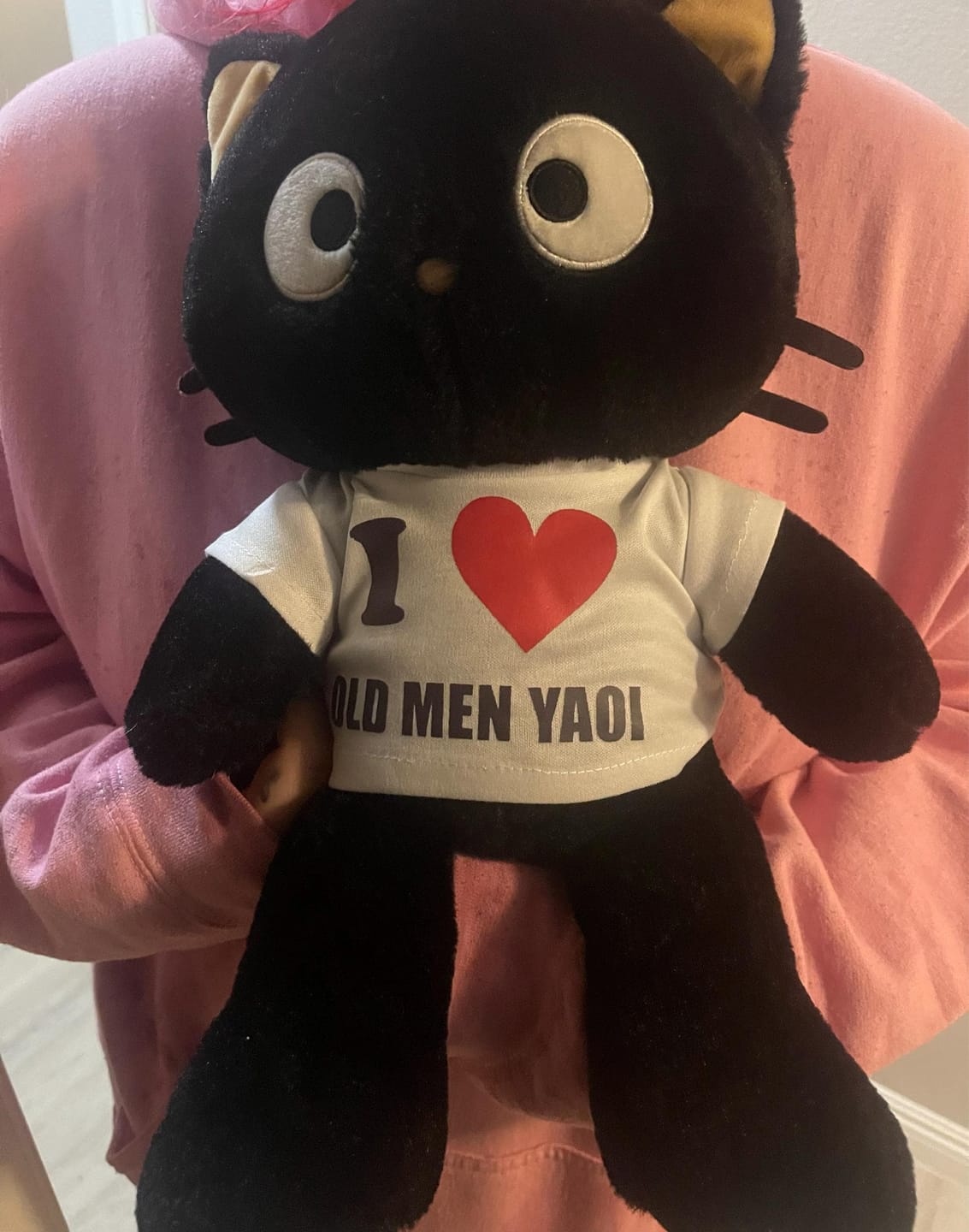 Customer photo review of Custom Plushie T-Shirt — Fits 14–16-inch Plushies