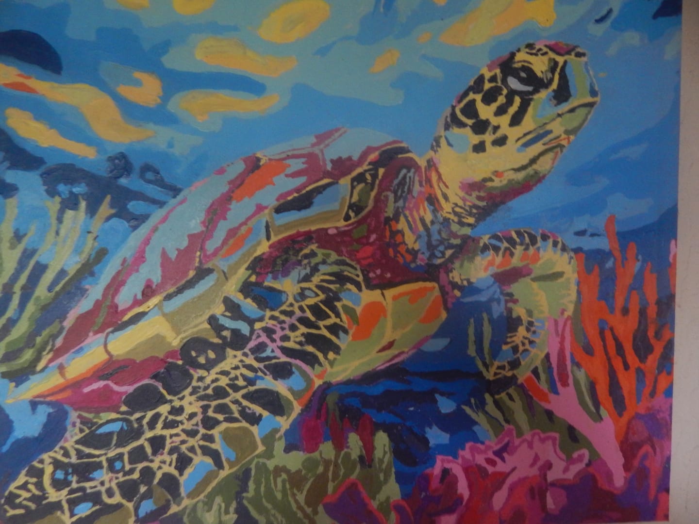 Customer photo review of Coral Reef Turtle