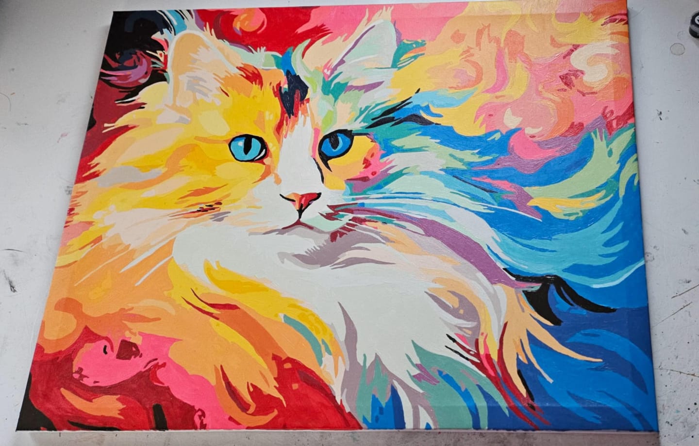 Customer photo review of Cat Rainbow