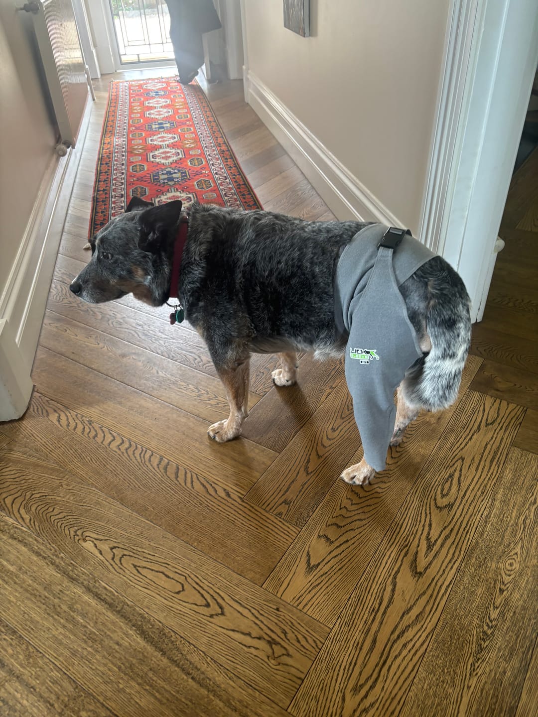 Customer photo review of Lick Sleeve