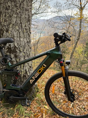 Customer photo review of 2025 Version AK29 Carbon Fiber 48V ebike