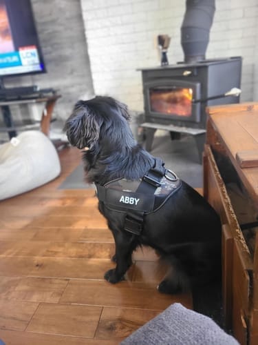 Customer photo review of Black Friday Walking Set