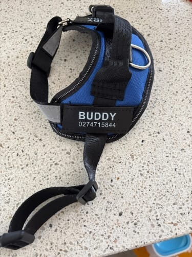 Customer photo review of Black Friday Walking Set