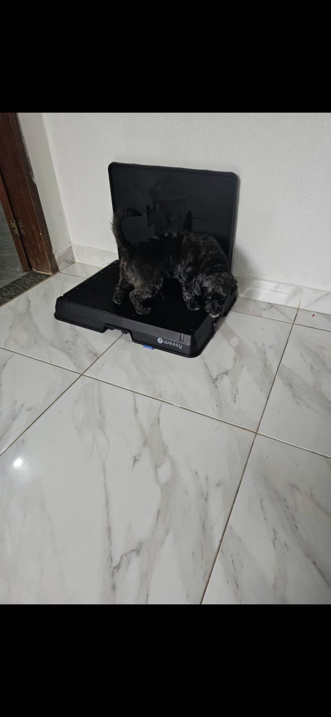 Customer photo review of Parede Hidrante