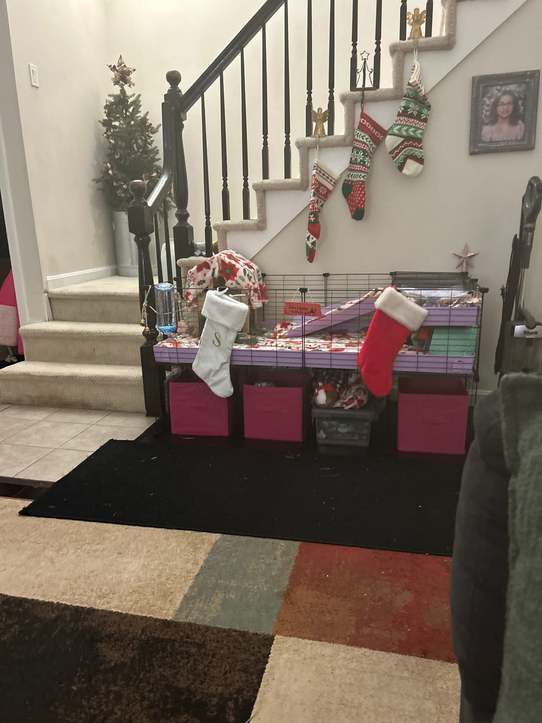 Customer photo review of 4x2 C&C Cage with Loft & Stand