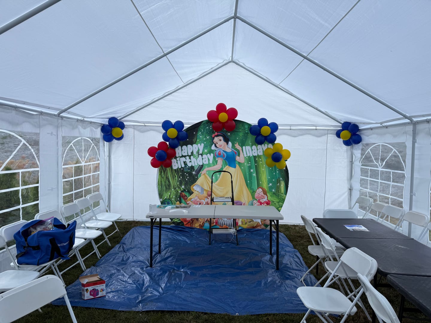 Customer photo review of Custom Princess Snow and Seven Round Backdrops Kids Party Circle Background Girls Birthday Covers