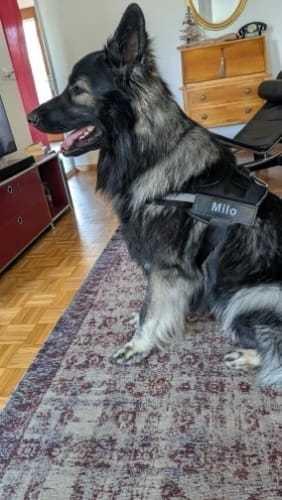 Customer photo review of Black Friday Walking Set