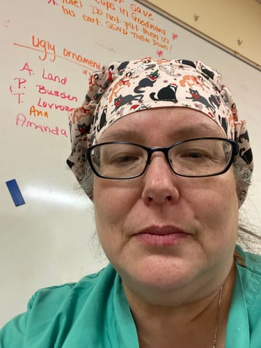 Customer photo review of Pawliday