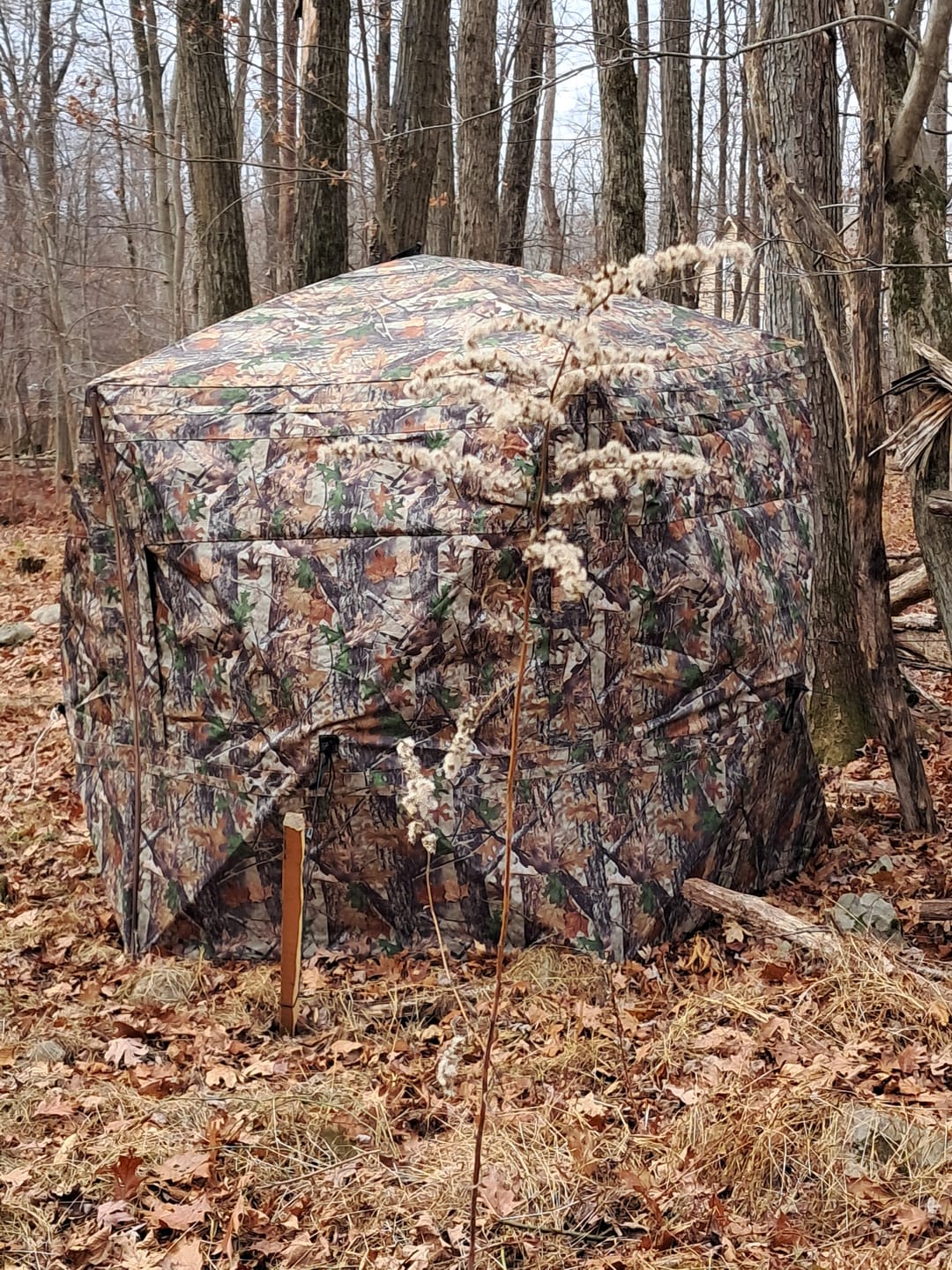 Customer photo review of VisFive360 See Through Ground Blind | 360° 5-Sided Pop Up Portable Deer Hunting Blind for 4-5 Person Hunters