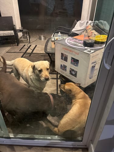 Customer photo review of Tummy Essentials - 1 Pouch