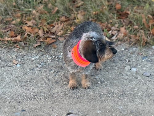 Kundenfoto von Babette G.