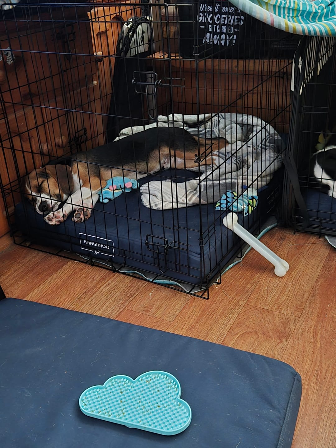 Customer photo review of Kangaroo Dog Crate Mat
