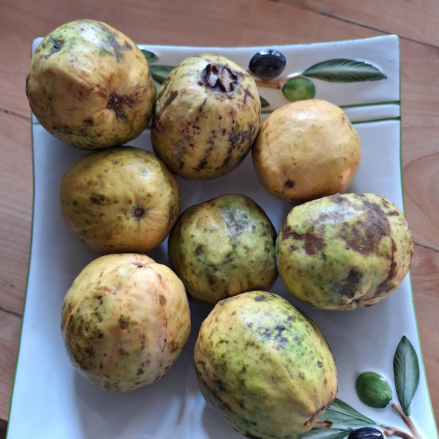 Customer photo review of Guave rot naturbelassen von Julian