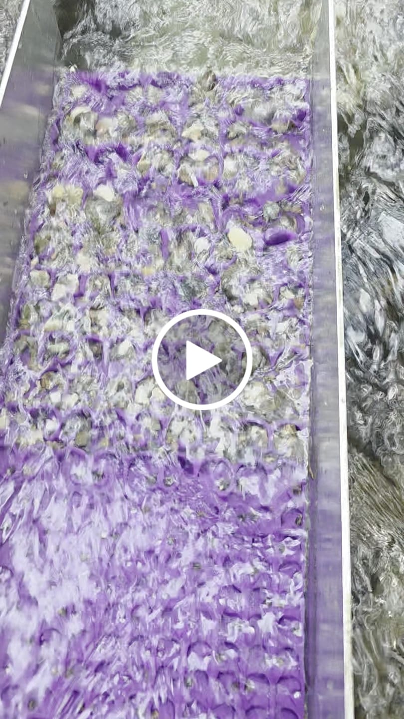 Customer video review of 6 inch River sluice Combo dream mat