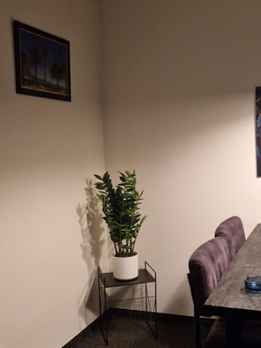 Customer photo review of Zamioculcas Kunstplant 75cm