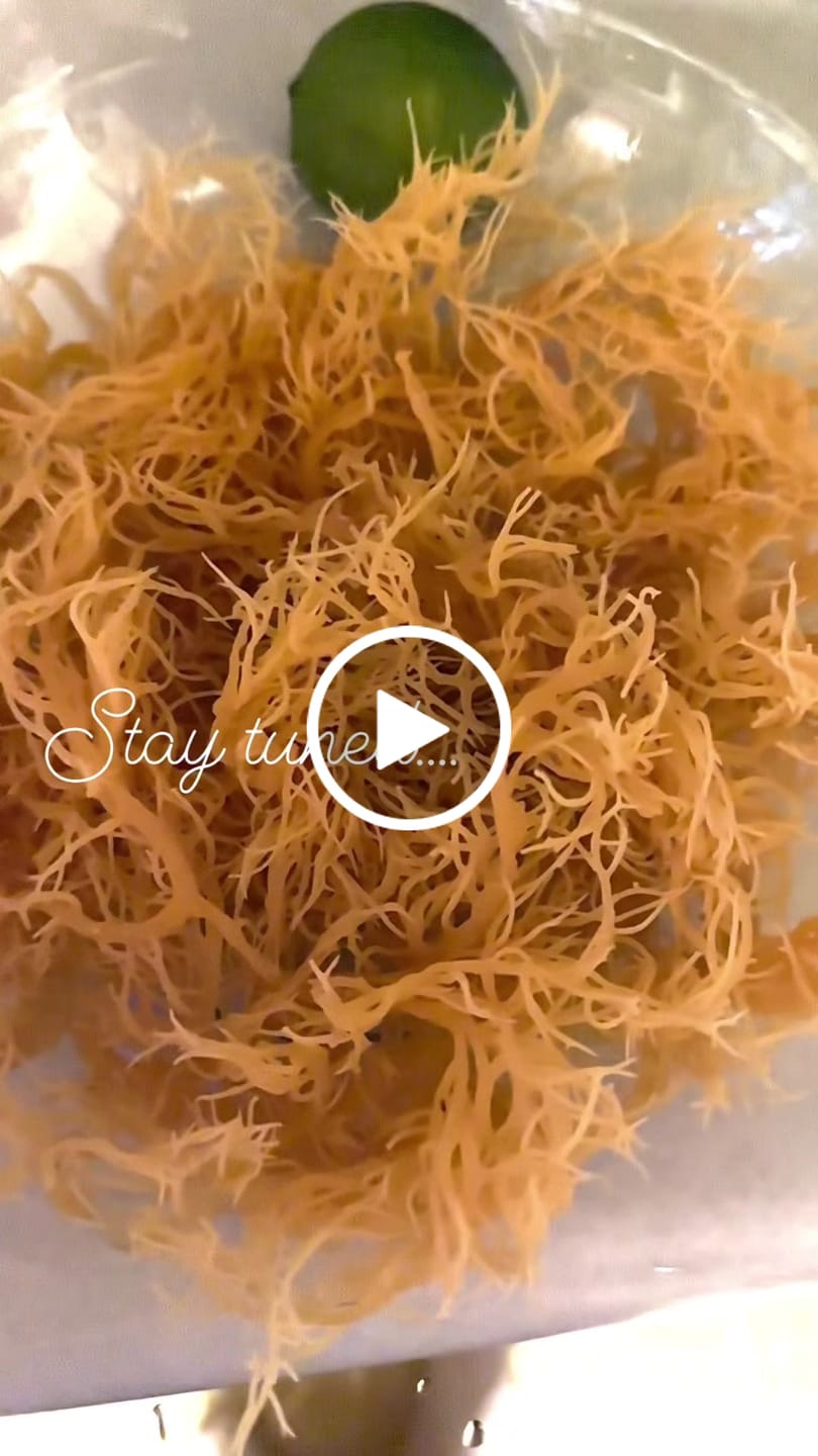 Customer video review of Irish Sea moss