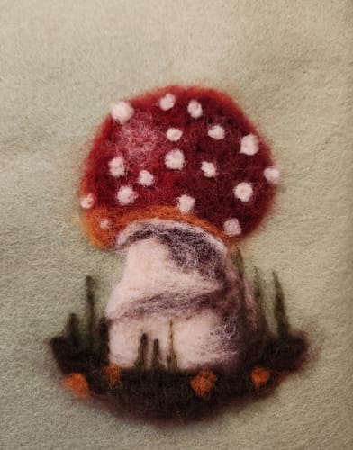 Customer photo review of Sophie Wheatley's Felted Fungi Supplies Box