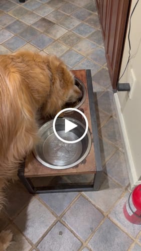 Customer video review of Golden Gravy