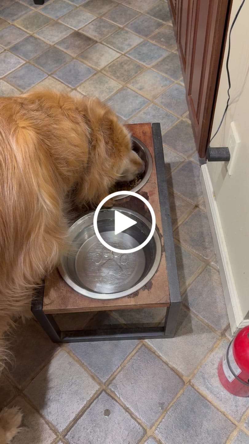 Customer video review of Golden Gravy