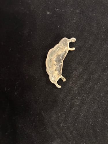 Jim F. review of Dental Pod image 1 out of 2